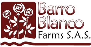 BARRO BLANCO FARMS SAS